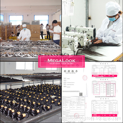Megalook Raw Burmese Hair Unprocessed Mink Curly Burmese Raw Hair, Wholesale Raw Burmese Hair